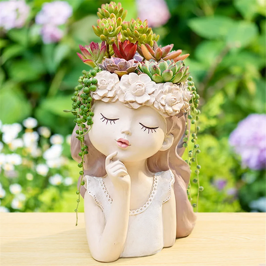 Small Fairy Succulent Plant Pot Kit
