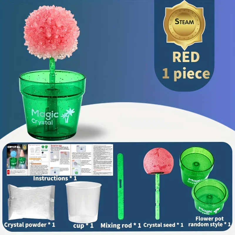Science Education Experiment