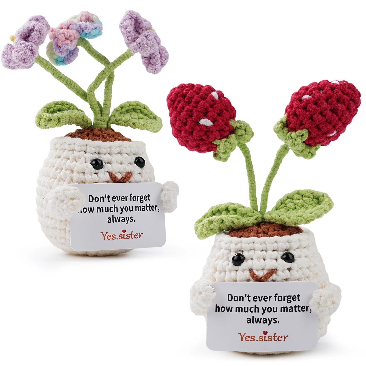 Beginner Crochet Kit