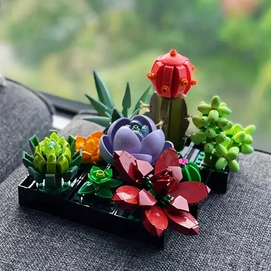Plant-compatible succulent plant
